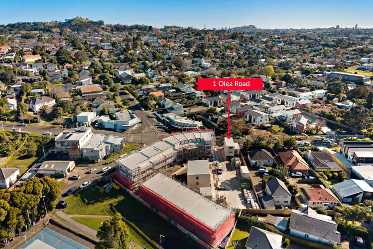 1 Olea Road Onehunga_24