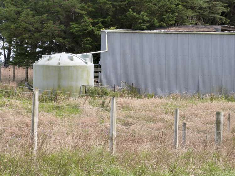 2 Wilson Road South Motu Rimu_8