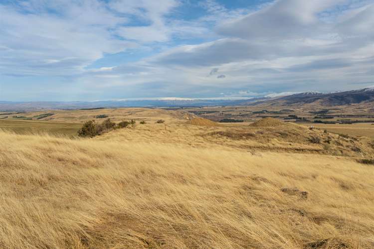 Lot 1 St Bathans Downs Road St Bathans_11