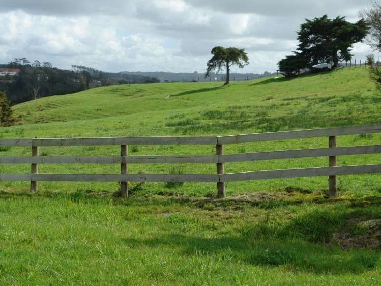 1725 Ruapekapeka Road Kawakawa_1