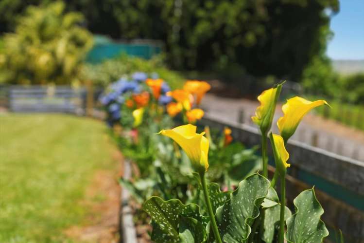 263 Old Coach Road Paengaroa_34