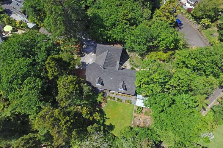 1266 Fergusson Drive Brown Owl_30