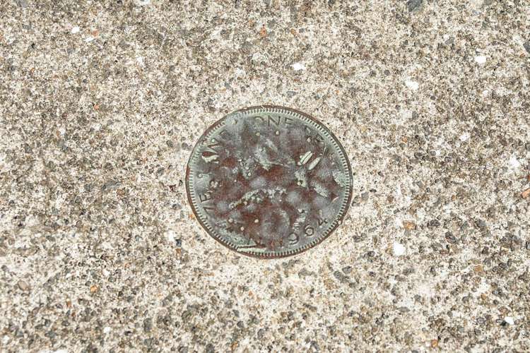 3/14 Brook Street Milford_5