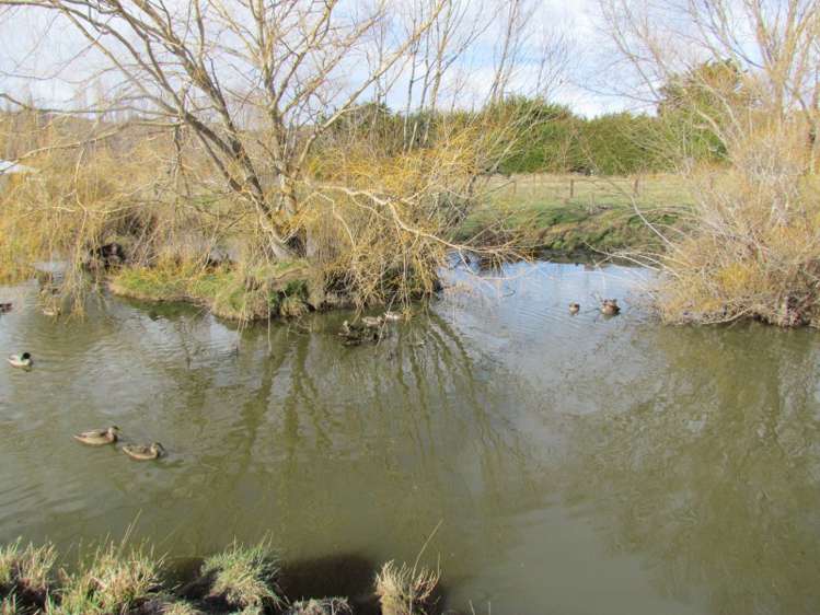 18 Symes Road Alexandra_14