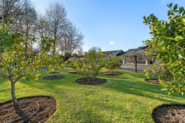 6 River Oaks Drive Tauriko_23