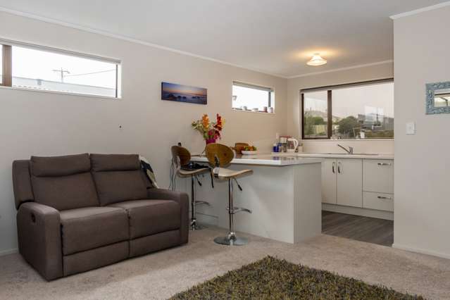 13 Auskerry Street Palmerston_4