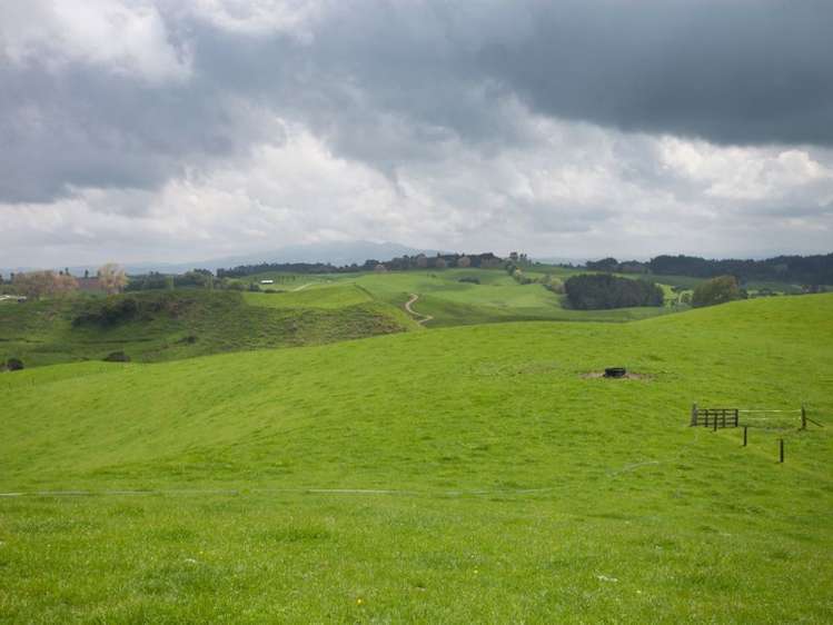 438 Waotu South Road Putaruru_37