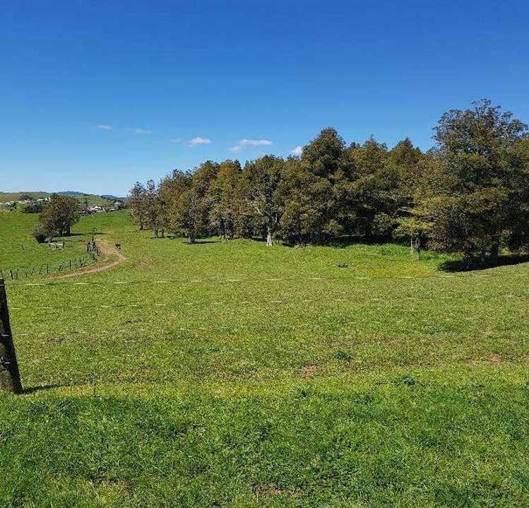 25 Gully Road Pukemiro_1