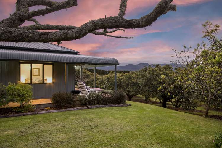 151 Wright Road Aongatete_18