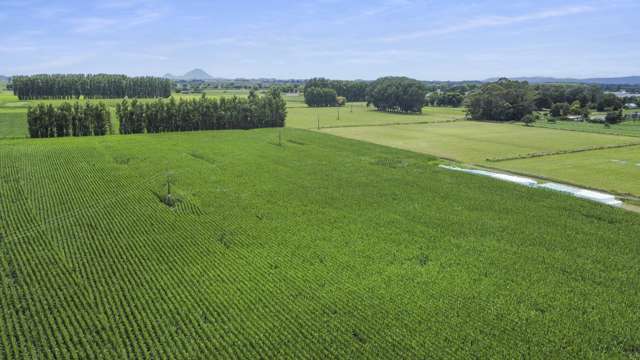 434-454 Awakeri Road Edgecumbe_2