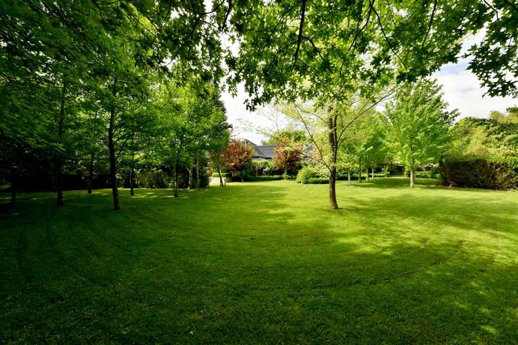 5 Golden Elm Lane Upper Riccarton_10