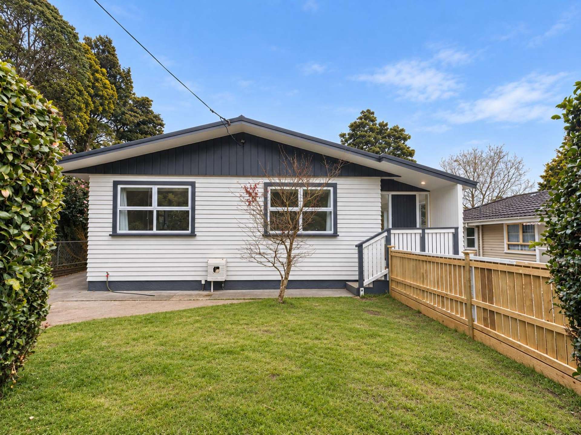 86 Carrington Street Lower Vogeltown_0