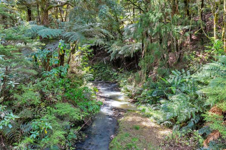 123 Waipipi Road Whananaki_11