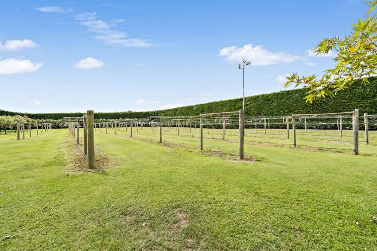 1349 Tramway Road Dunsandel_29