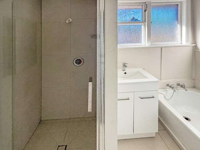 57 Roslyn Street 1154_4