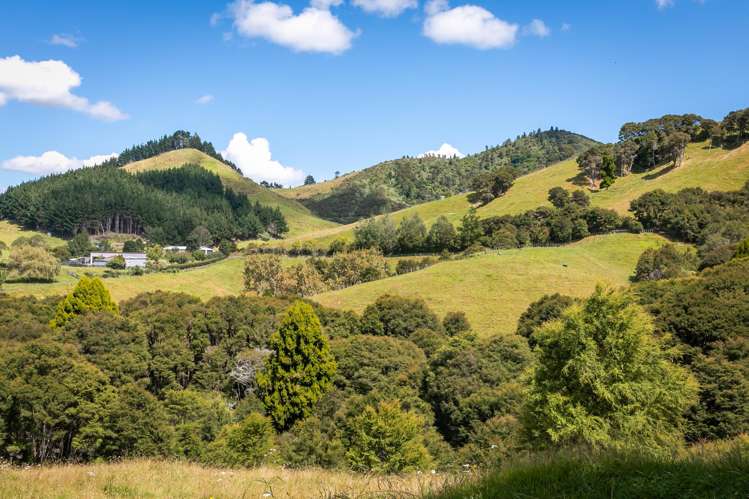49 Mangotahi Road Thames_23