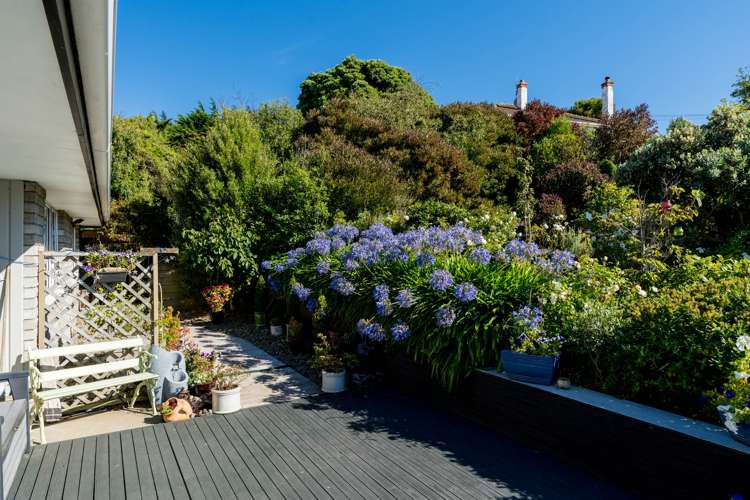 151 Tomahawk Road Andersons Bay_2