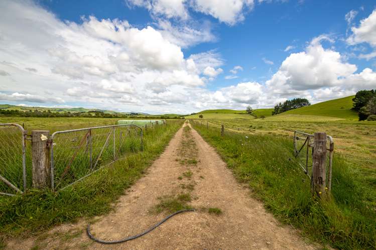 1085 Taniwha Road Waerenga_14