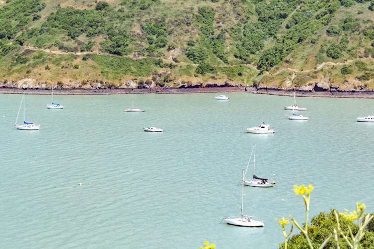 92N Governors Bay Road Cass Bay_22