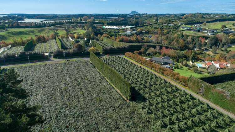 33 I'Anson Road Wairoa_6