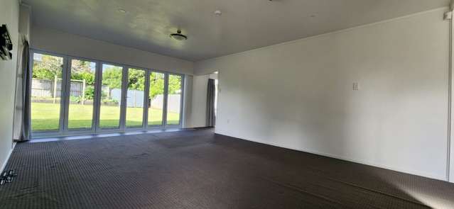 12 Te Puia Street Te Kamo_4