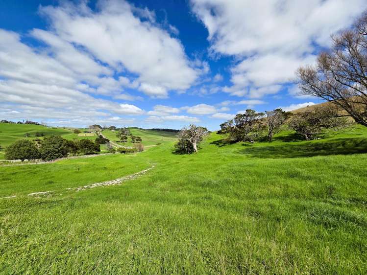 Morrison Road Dargaville_4