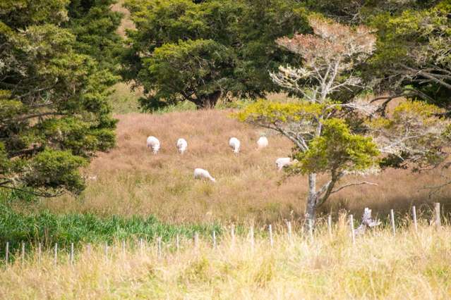 Lifestyle Living Awaits