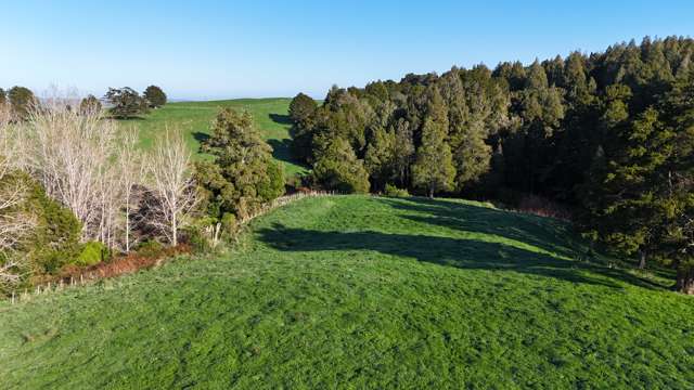 Parker Road Wellsford_3