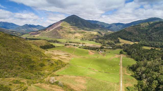 845 Shenandoah Highway Murchison_1