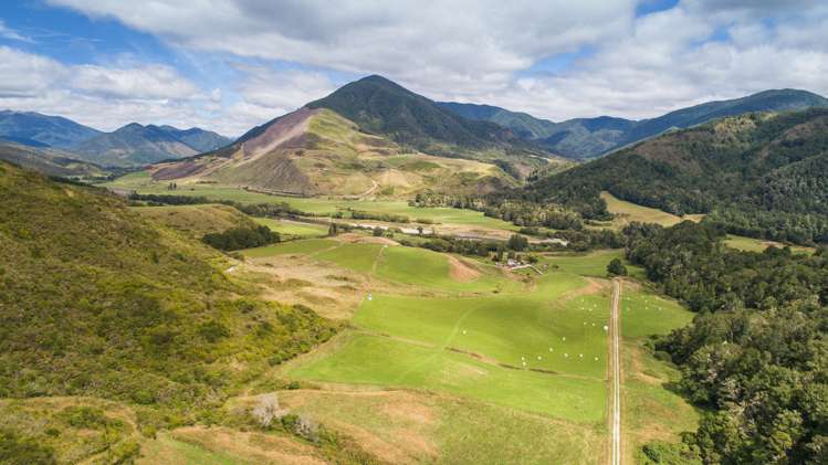 845 Shenandoah Highway Murchison_1