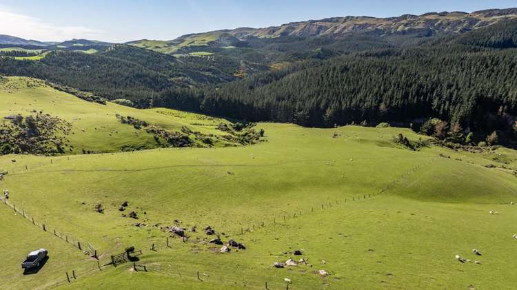 614 Omihi Road Omihi_15