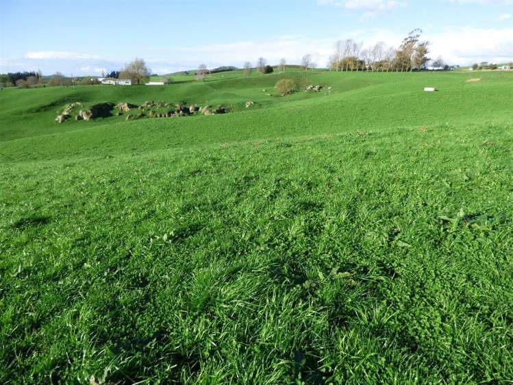 203/219 Paewhenua Road Maihiihi_11