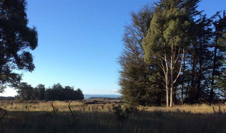 1784 Main North Road Sefton_10