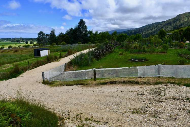 366 Oparara Loop Road Karamea_26