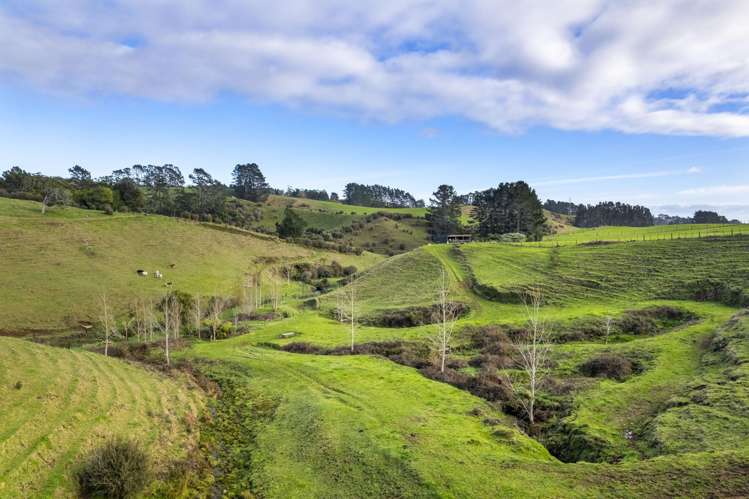 378 Hursthouse Road Tarurutangi_37