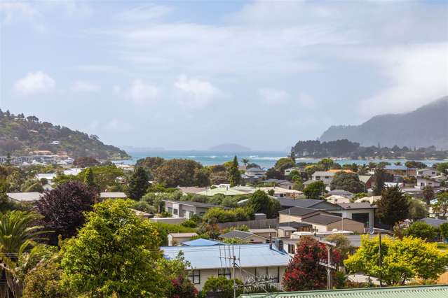 333 Main Road Tairua_3