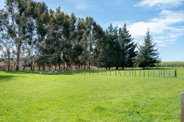 466 Te Aute Road Havelock North_31