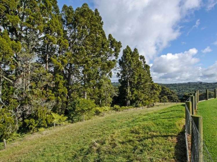 215 Judge Richardson Drive Opaheke_16