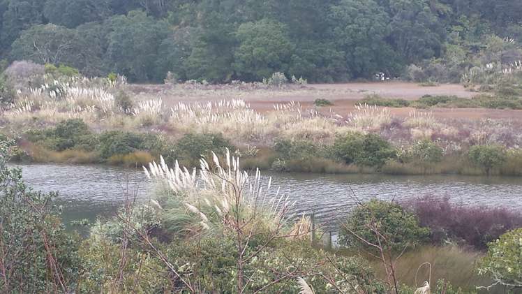 150b Mayfair Avenue Whangamata_7