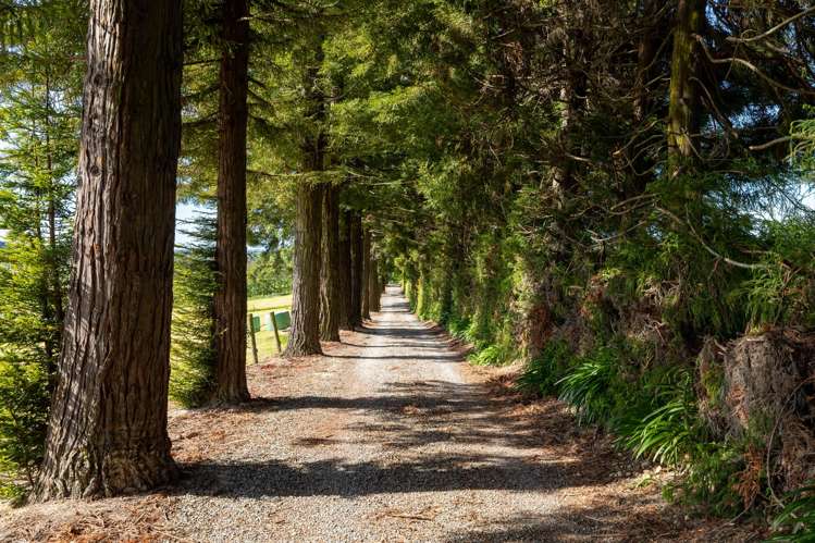 182 Malling Road Redwood Valley_43