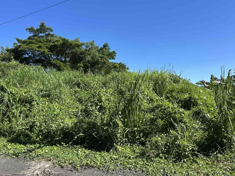 Lot 11 Pali Street Off Nasoso Road Nadi_6