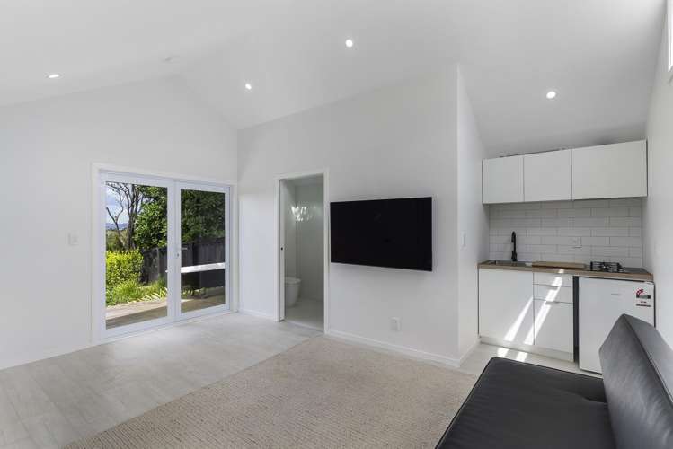 42 Old Mill Road Grey Lynn_6