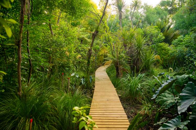 14a Puriri Road Waikanae_7