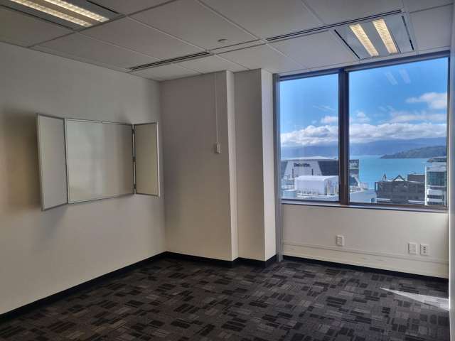 113 The Terrace Wellington Central_4