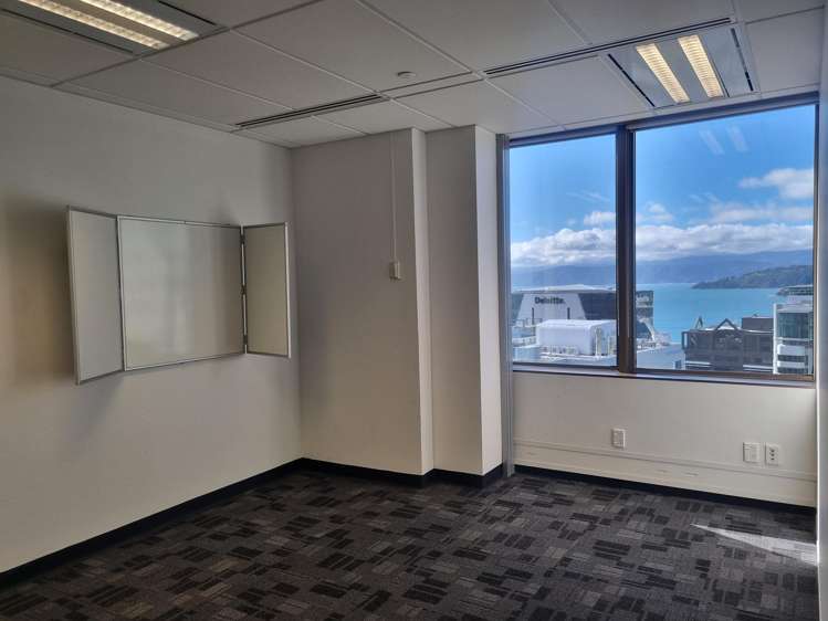 113 The Terrace Wellington Central_4