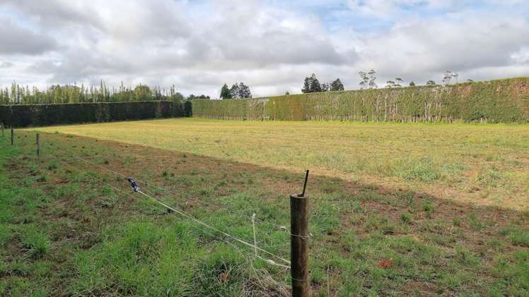 217 Waipapa West Road Kerikeri Surrounds_9