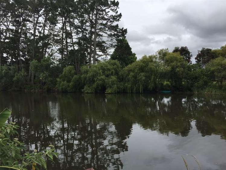 51 James Mackie Road Helensville_16