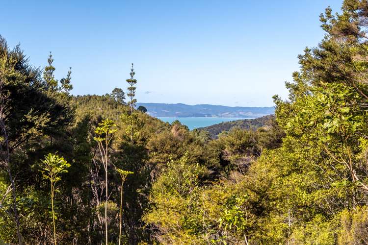 175 Orapiu Road Waiheke Island_5