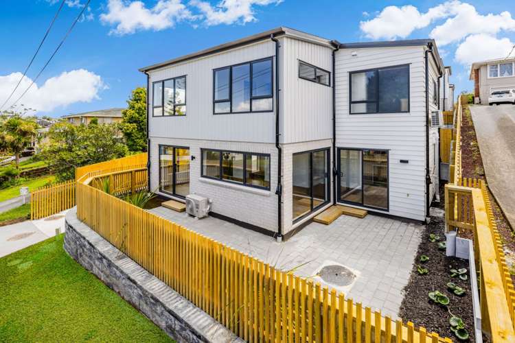 5 Subritzky Avenue Mt Roskill_1