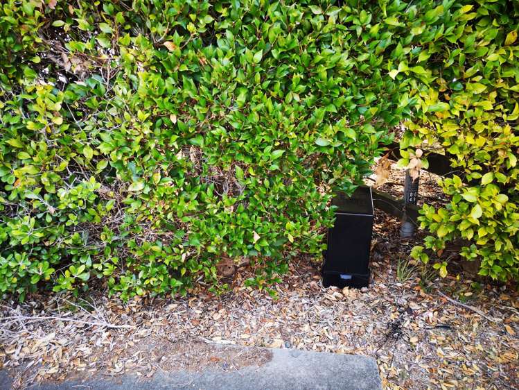 86 Brick Bay Drive Sandspit_12